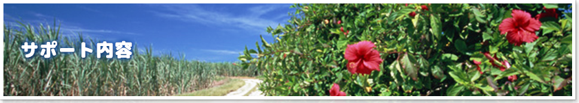 サポート内容
